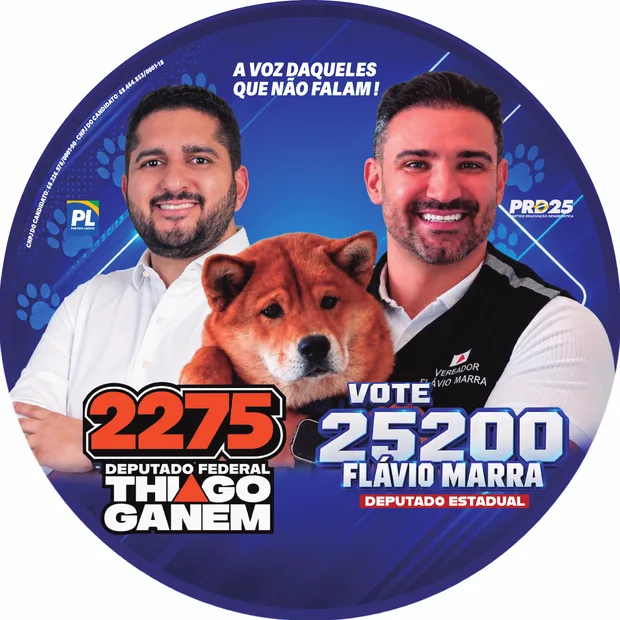 Miniatura do adesivo bola em dupla 2.