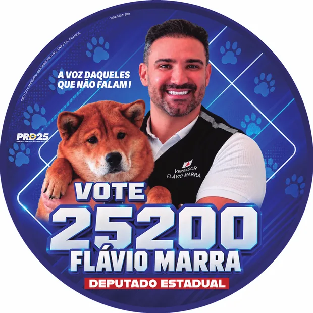 Miniatura do adesivo bola solo 200.