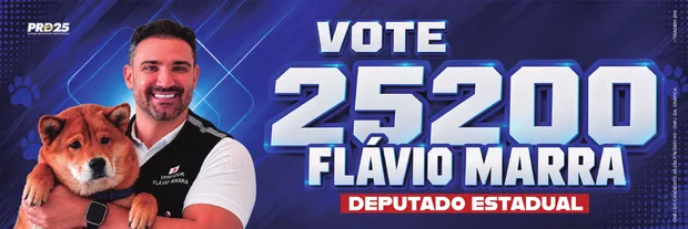 Miniatura do para-choque 200 somente Flávio.