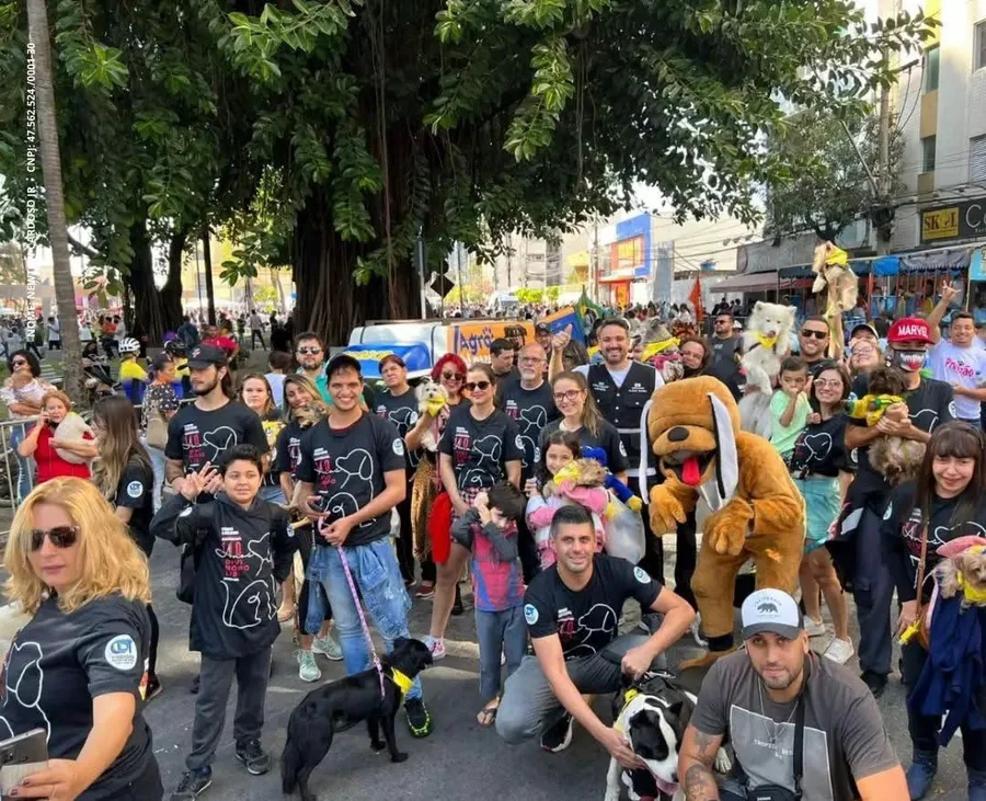 Grupo de participantes com cães durante o Desfile Pet em Divinópolis.
