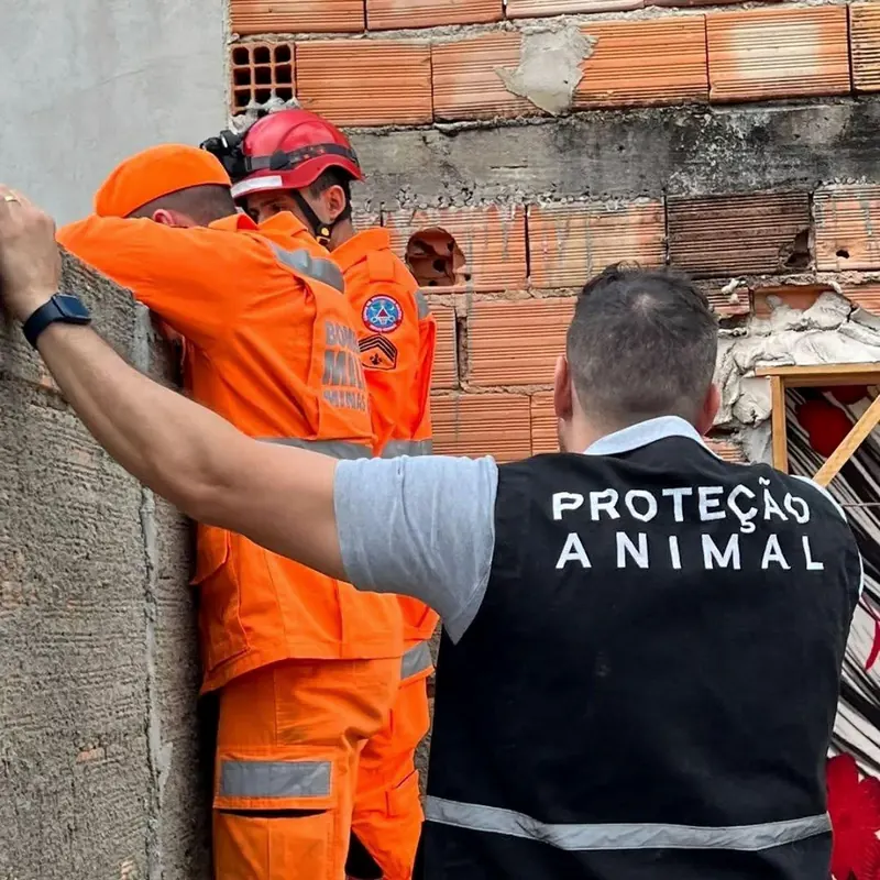 Flávio Marra acompanha uma ação de resgate com agentes de emergência.